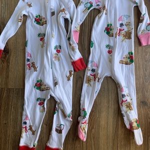 TBBC Santa Paws night nights